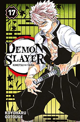 Demon Slayer : Kimetsu no Yaiba T.17 : Demon slayer