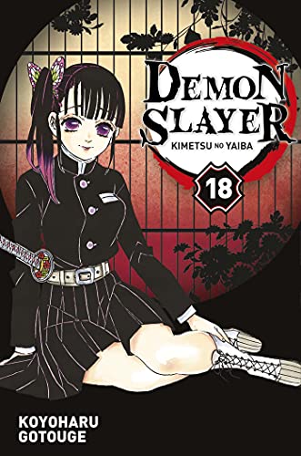 Demon Slayer : Kimetsu no Yaiba T.18 : Demon slayer